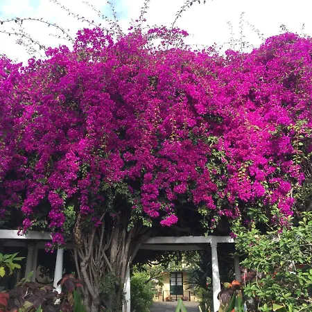 Perla De Roca En Poblado Marinero Appartamento Acantilado de los Gigantes